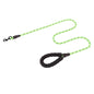 Pet supplies - pet dog leashes