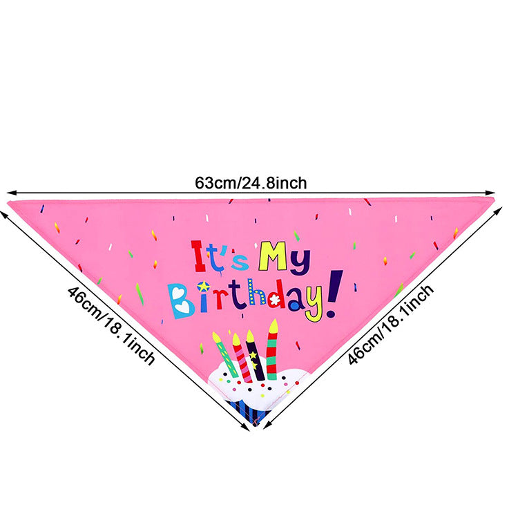 Pet birthday party decoration and arrangement