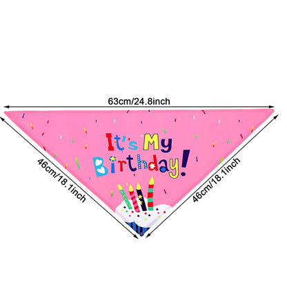 Pet birthday party decoration and arrangement