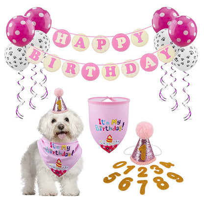Pet birthday party decoration and arrangement